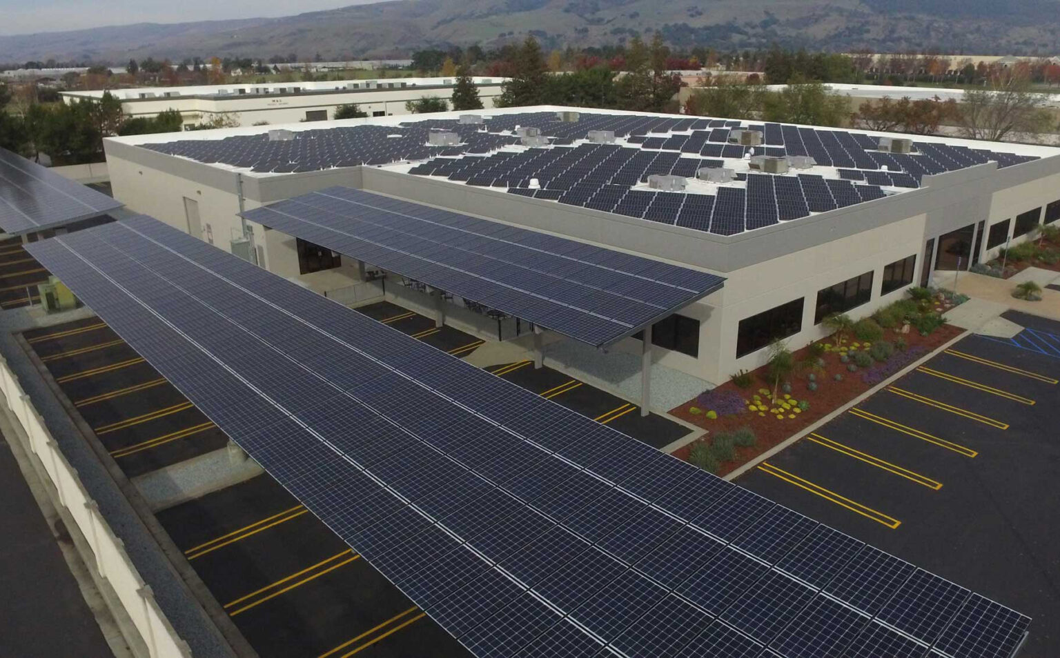 How CitiGreen Scaled Their Business with Billd